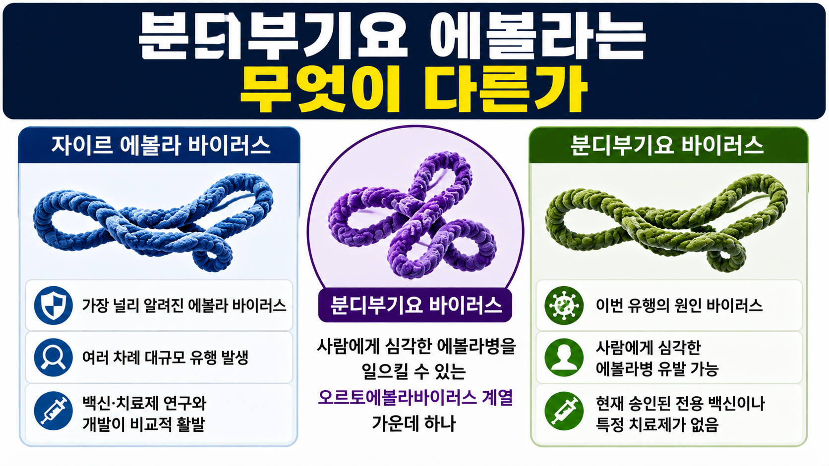 콩고 에볼라 사망자 2011명, 19일 만에 2천명선까지 치솟은 이유 - 분디부기요 에볼라는 무엇이 다른가 핵심 내용을 정리한 정보형 이미지